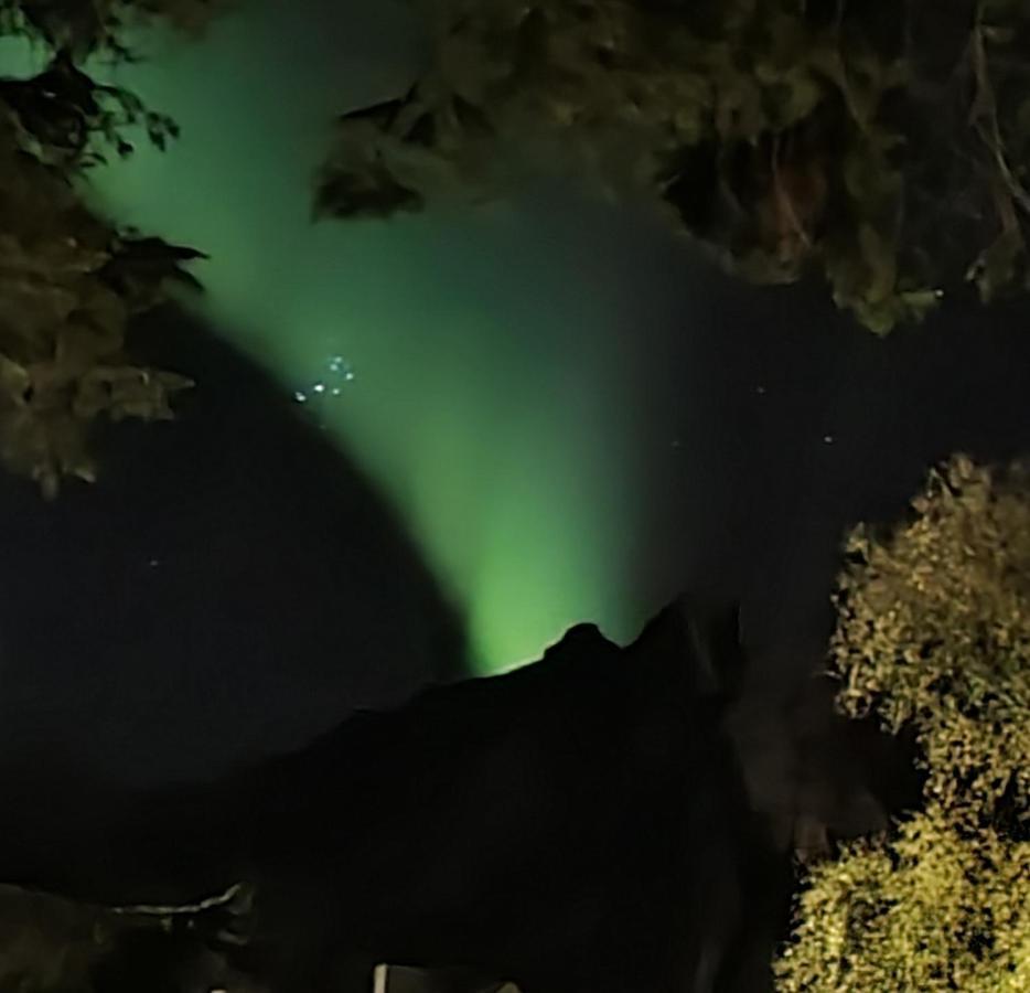 Innholdsrik Og Koselig Leilighet I Svolvaer Lofoten Esterno foto